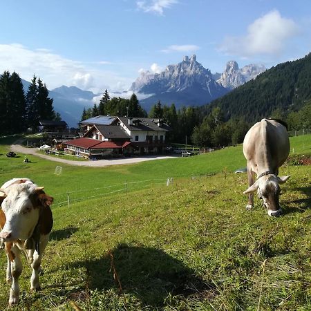 Agritur Le Vale Vila Fiera Di Primiero Exterior foto