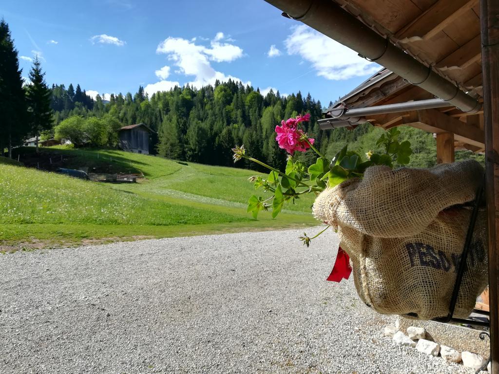 Agritur Le Vale Vila Fiera Di Primiero Exterior foto